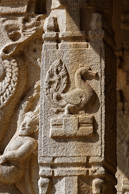 Hampi-Temple de Vitthala-113